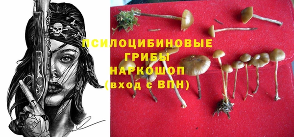 Альфа ПВП Алексин