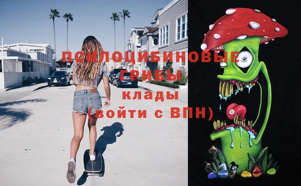 Альфа ПВП Алексин