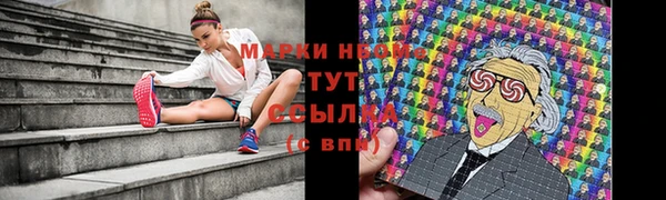 гидропоника Алзамай