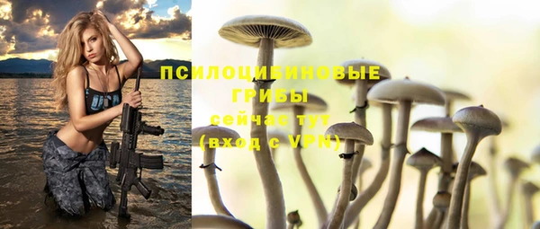 Альфа ПВП Алексин