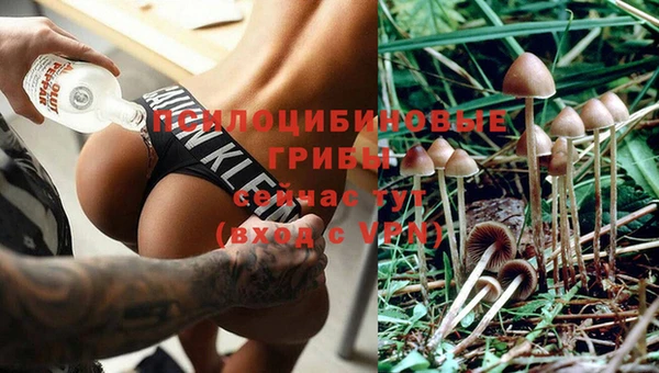 эйфоретик Алексеевка