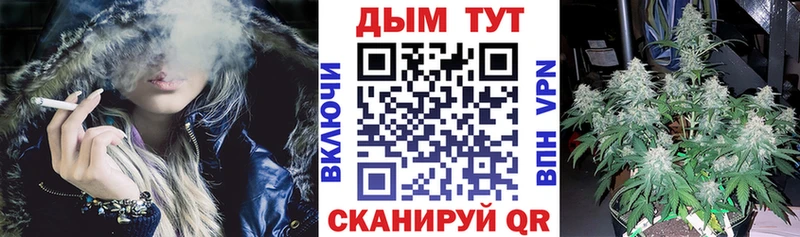 Марихуана сатива  Звенигово 
